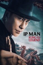 Ip Man: Kung Fu Legend (2026)